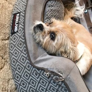 Meet your Posher, Kasey